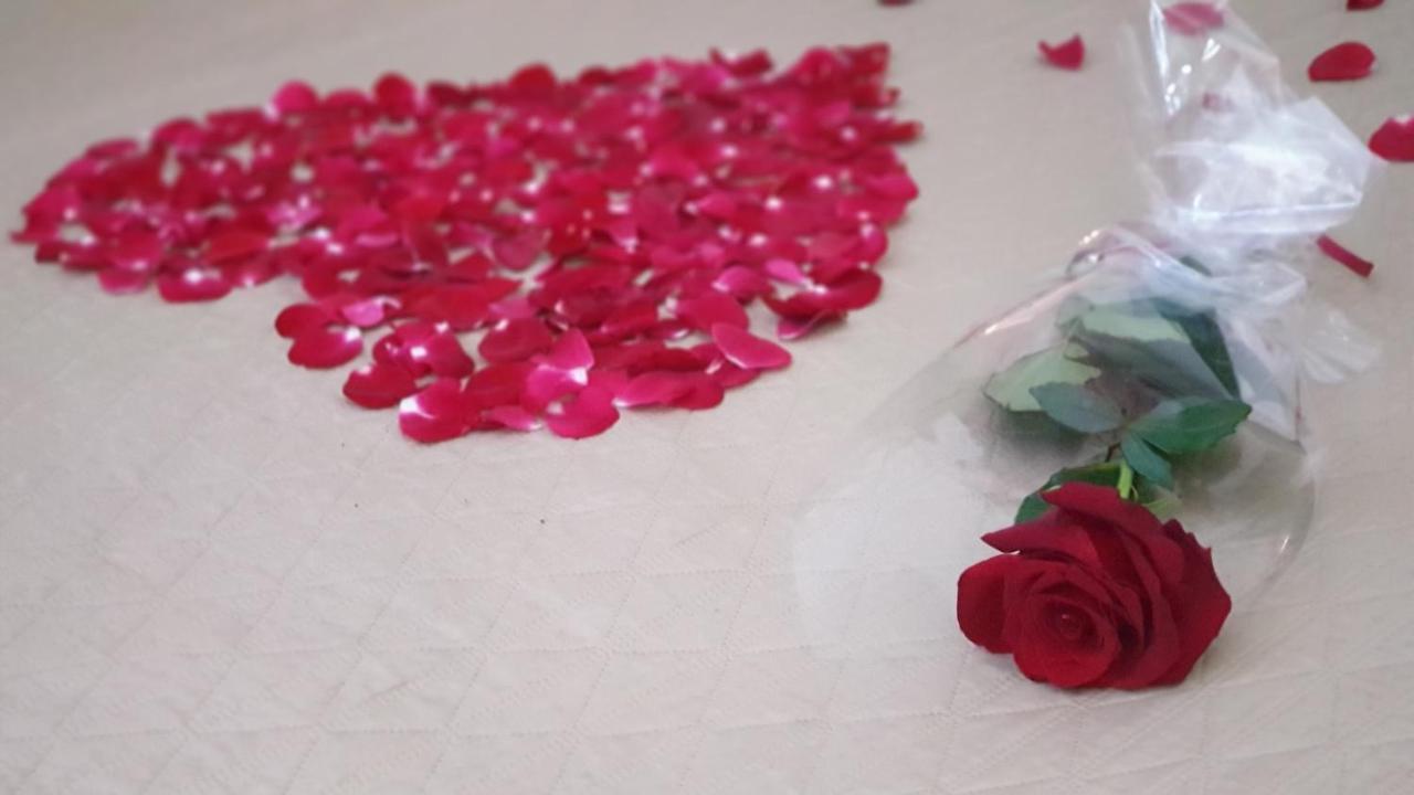 Ginko Sobe Daruvar - Mogucnost Dorucka المظهر الخارجي الصورة